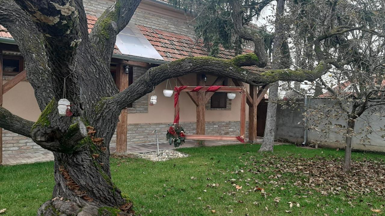 Villa Rusztika Дьюла Экстерьер фото